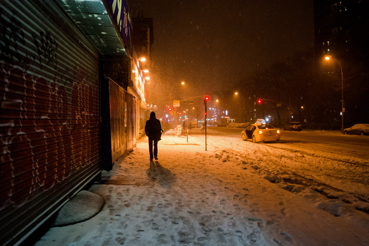 the walking company new york