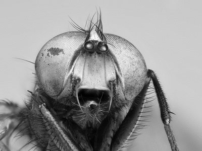 Rsz 7831151290 171ebc6e9c b.jpg?ixlib=rails 2.1