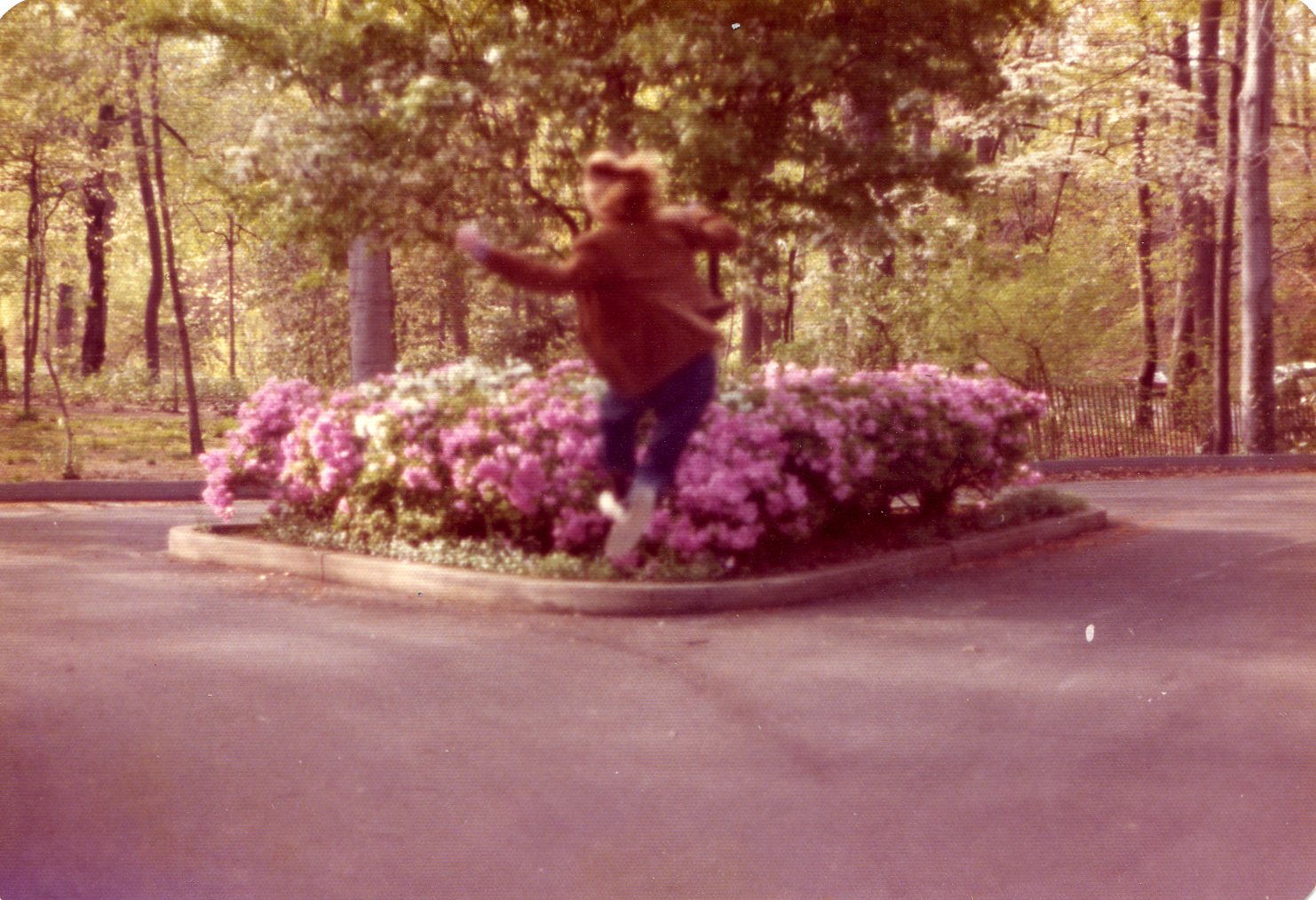 Img535.jpg?ixlib=rails 2.1