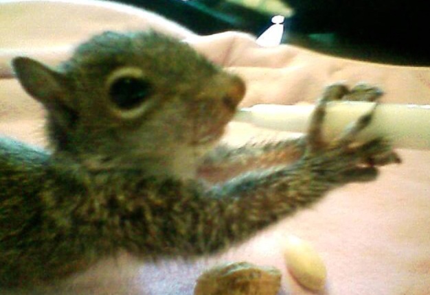 Img 7077.jpeg?ixlib=rails 2.1