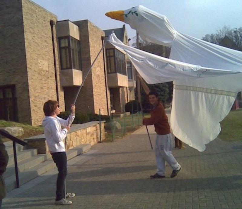 Peace dove picture.jpg?ixlib=rails 2.1