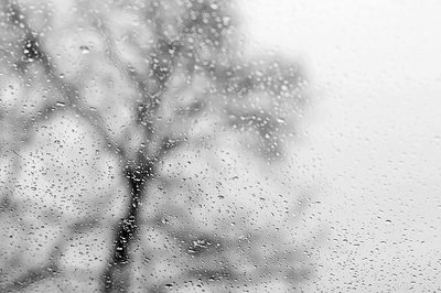 Rsz grey sweden1.jpg?ixlib=rails 2.1