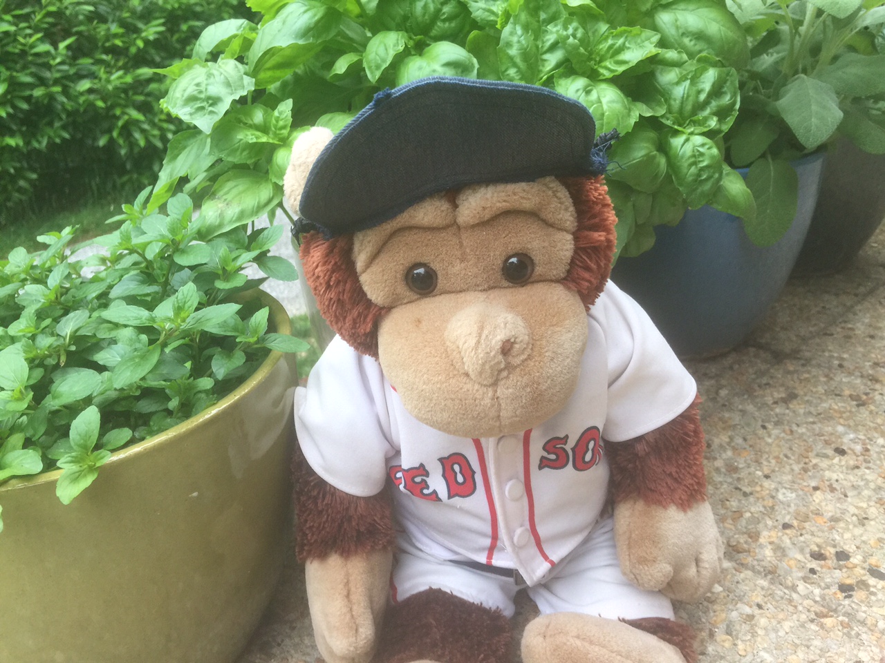 Img 0611.jpg?ixlib=rails 2.1