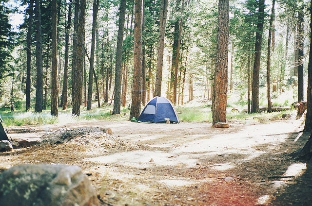 Tumblr m5a5ndxzqf1r3tsxro1 1280.jpg?ixlib=rails 2.1