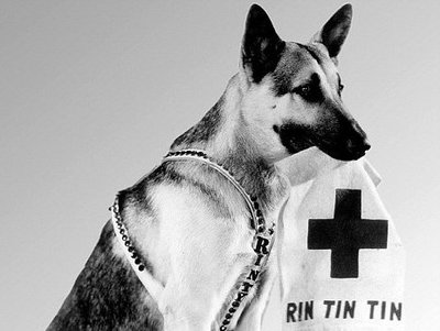 Rsz article 2089735 0039cd8c00000258 538 468x545.jpg?ixlib=rails 2.1