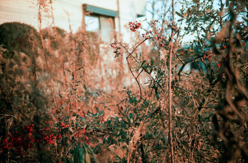 Tumblr mjgygbvmux1qb9ht2o1 500.jpg?ixlib=rails 2.1