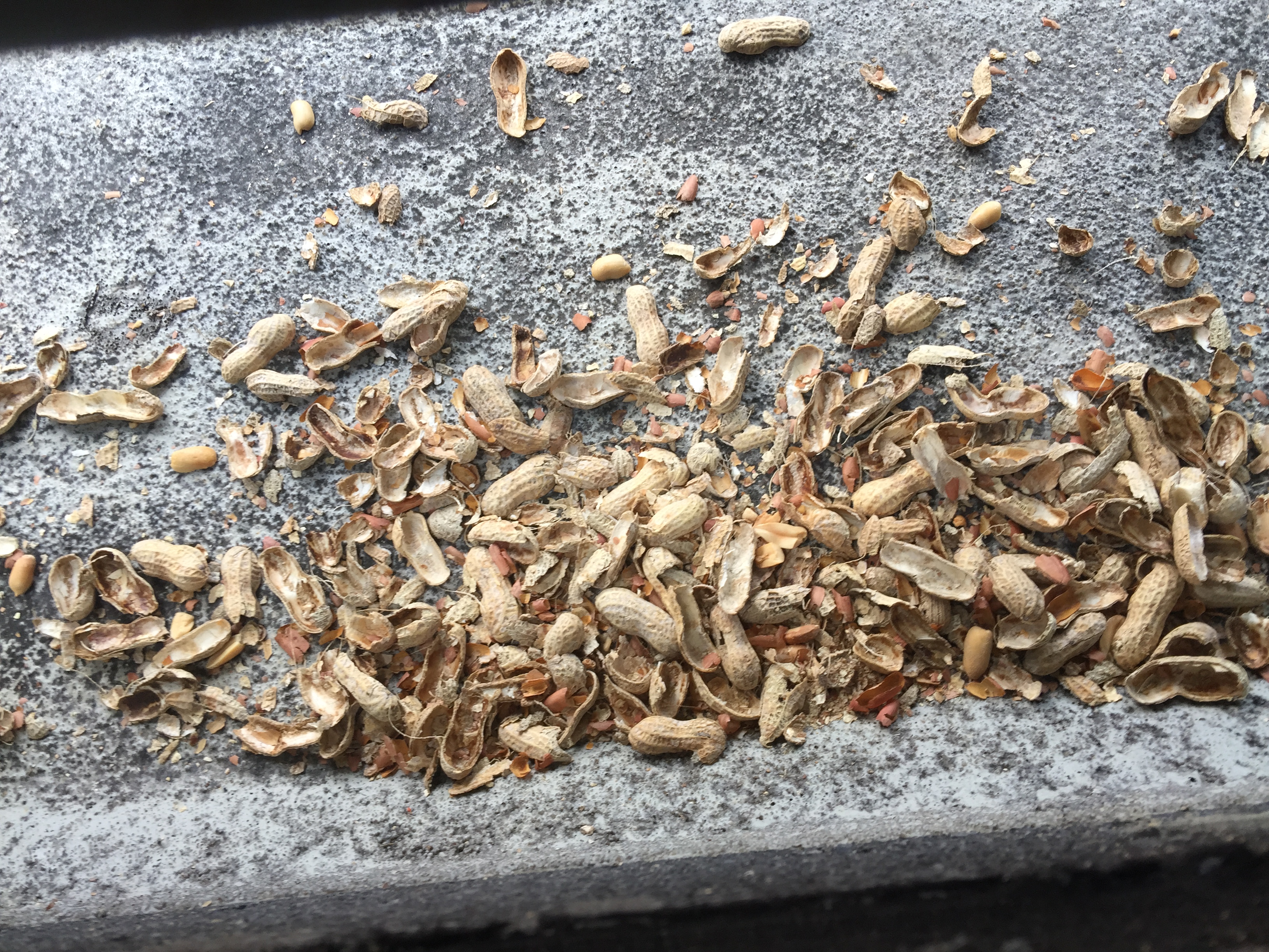 Img 0621.jpg?ixlib=rails 2.1