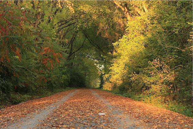 71f14c 0f042418cfe34468a3a8797053bce13a.jpg srz 630 420 75 22 0.50 1.20 0.jpg?ixlib=rails 2.1