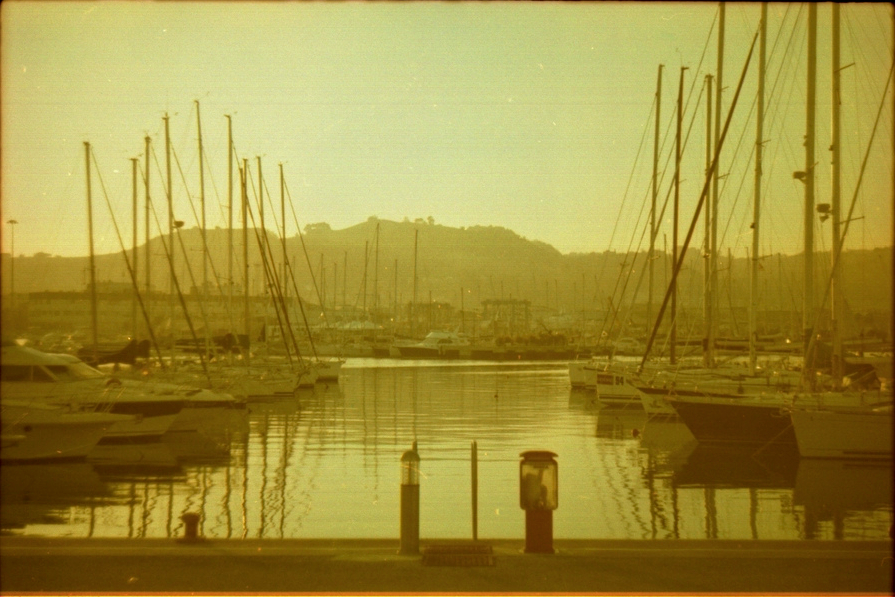 Morning.jpg?ixlib=rails 2.1