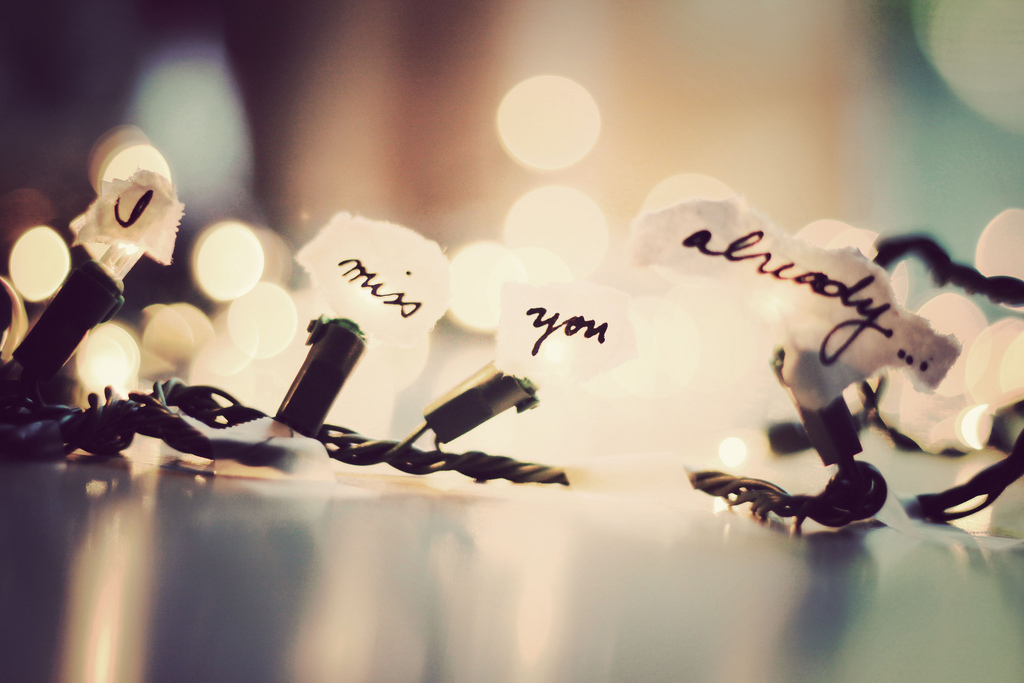 3942759897 98790680d3 b.jpg?ixlib=rails 2.1