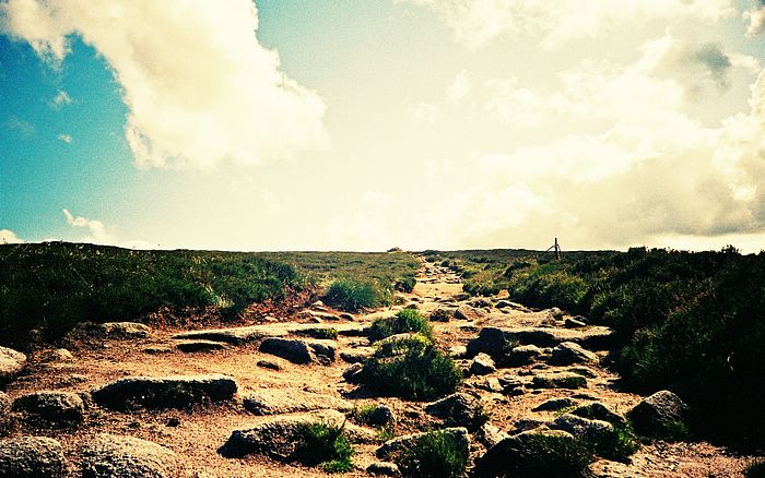  wallcoo com  lomo lomography country and sky.jpg?ixlib=rails 2.1