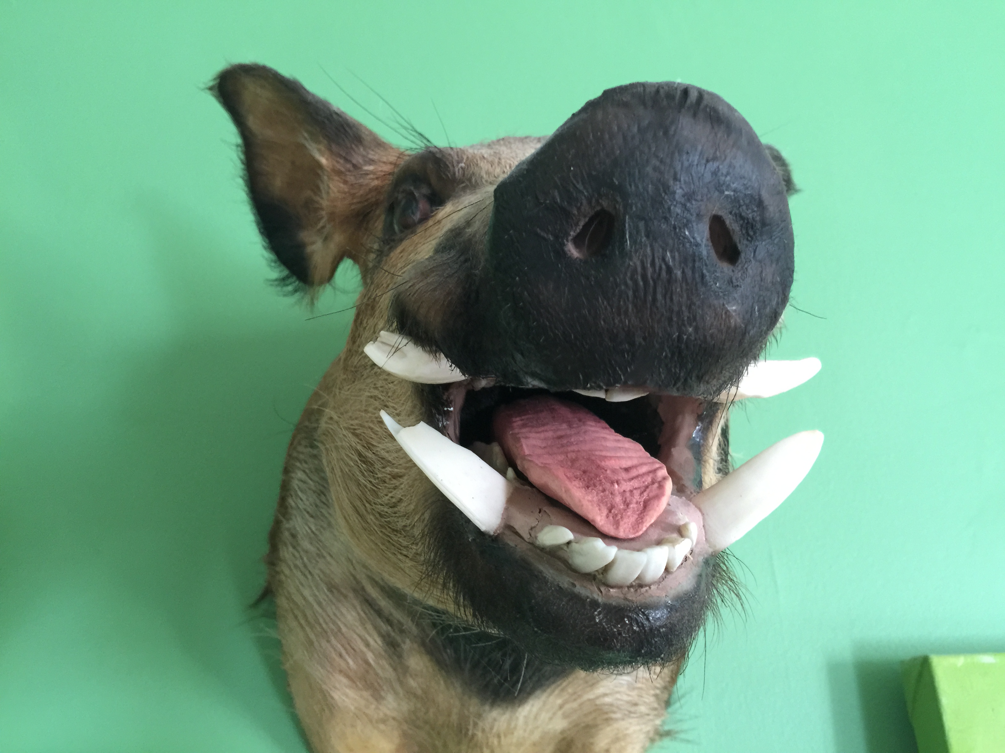 1.jpg?ixlib=rails 2.1