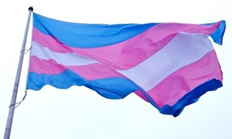 Rsz transgender flag.jpg?ixlib=rails 2.1