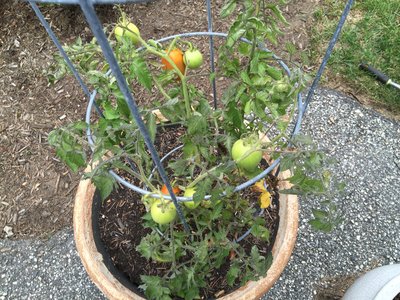 Rsz img 0791.jpg?ixlib=rails 2.1