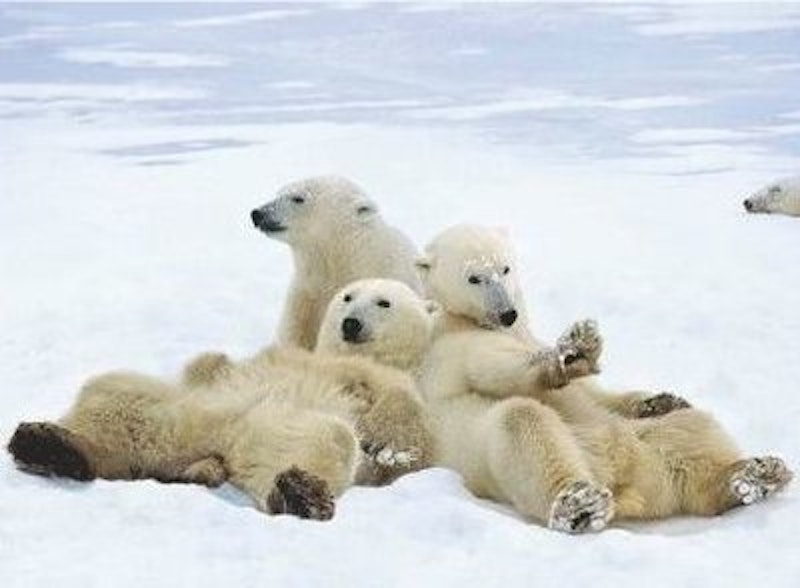 Rsz polarlounge3.jpg?ixlib=rails 2.1