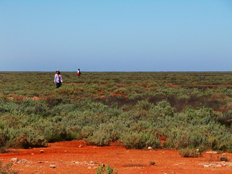 Outback.jpg?ixlib=rails 2.1