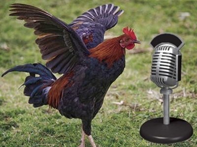 Rsz 4e9a42985d515image.jpg?ixlib=rails 2.1