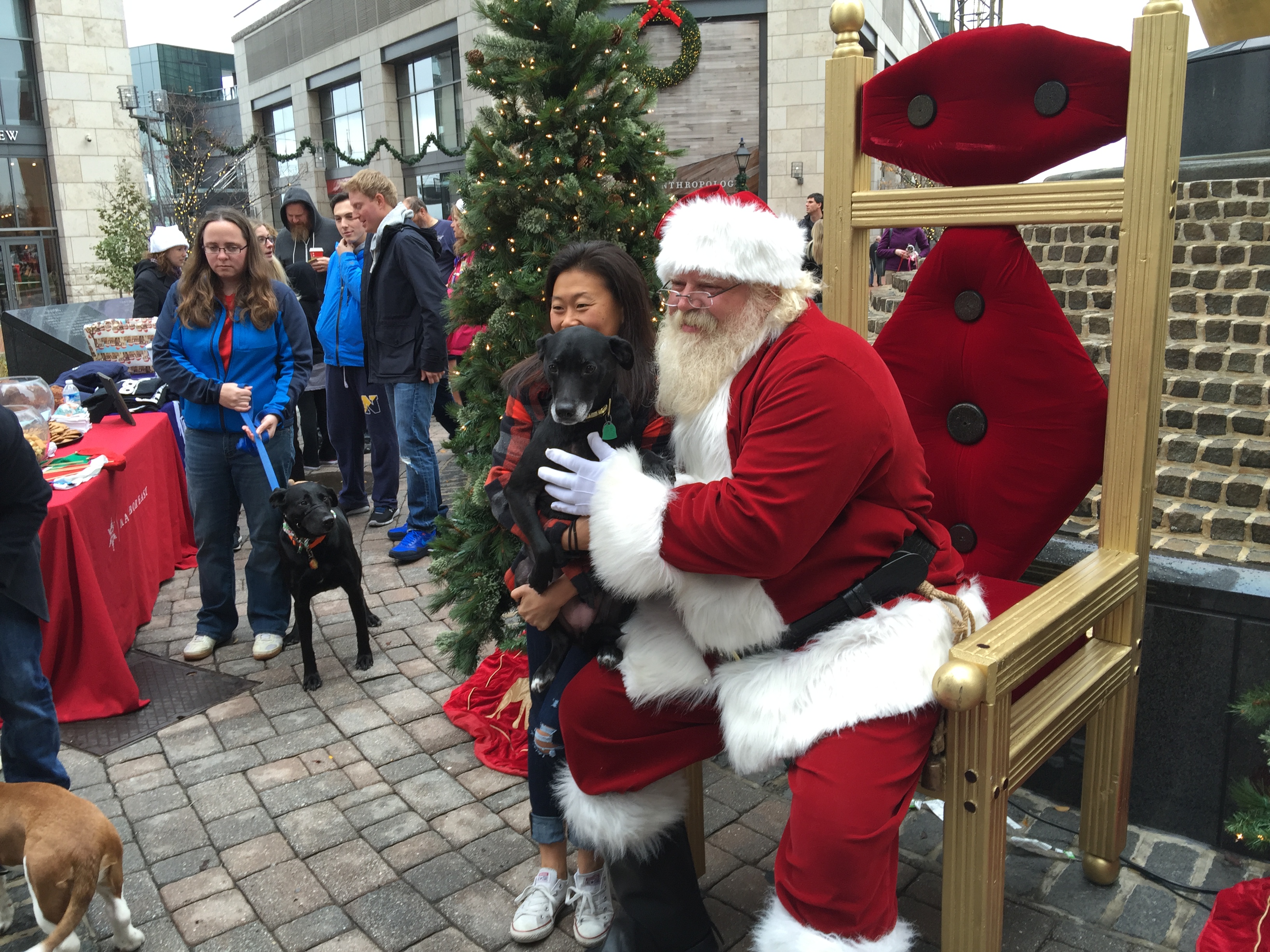 1img 0832.jpg?ixlib=rails 2.1