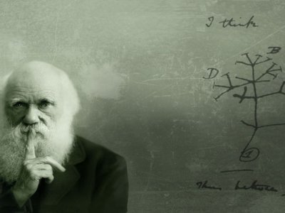 Rsz charles darwins theory of evolution still evolving 650x365.jpg?ixlib=rails 2.1