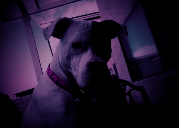 Screen shot 2015 12 20 at 12.08.09 pm.png?ixlib=rails 2.1