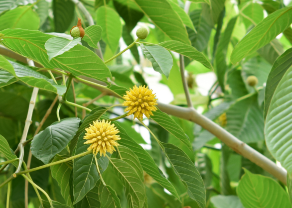 Screen shot 2015 12 27 at 2.24.29 pm.png?ixlib=rails 2.1