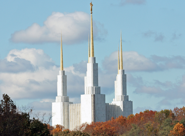 Screen shot 2016 01 22 at 10.16.45 am.png?ixlib=rails 2.1