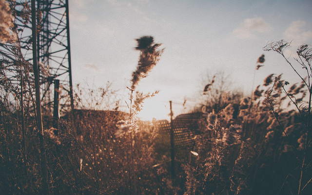 24679651006 26e80538d6 z.jpg?ixlib=rails 2.1