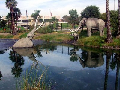 History Trapped In The La Brea Tar Pits | Www.splicetoday.com