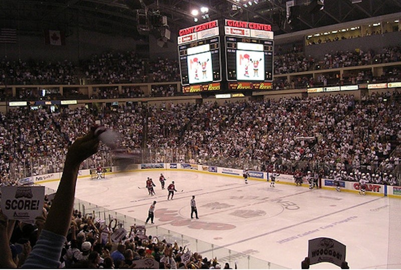 Bears.jpg?ixlib=rails 2.1