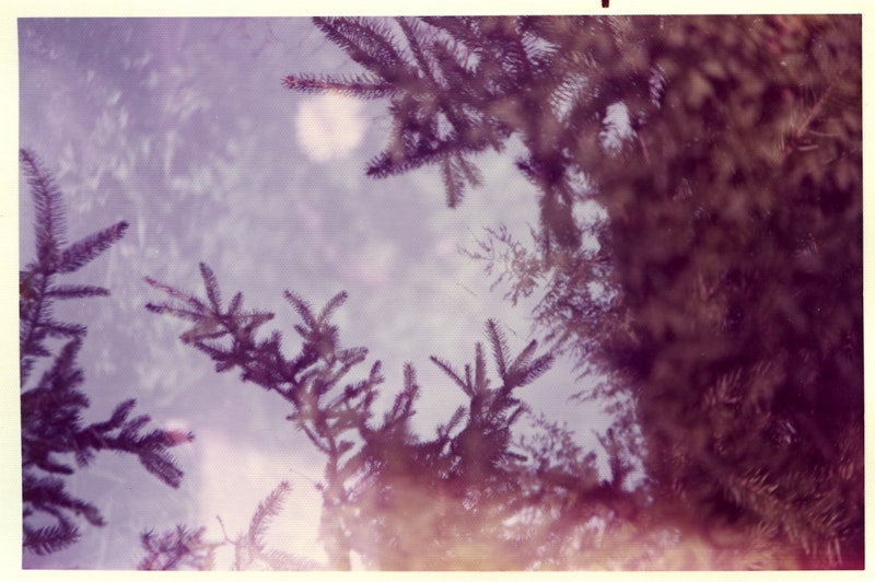 1img092.jpg?ixlib=rails 2.1