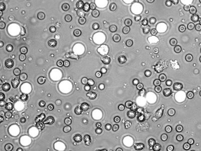 Rsz 424.jpg?ixlib=rails 2.1