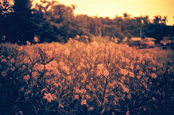 Negative0 19 15a1.jpg?ixlib=rails 2.1