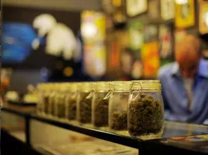 Pot.jpg?ixlib=rails 2.1