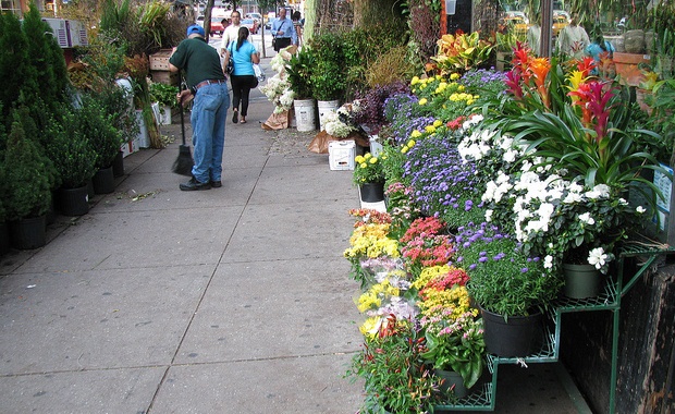 Flower district new york.jpg?ixlib=rails 2.1