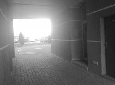 Rsz o495040 f1.jpg?ixlib=rails 2.1