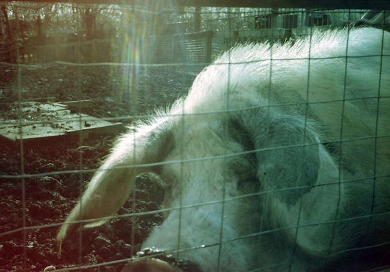 Screen shot 2016 06 22 at 10.28.27 am.png?ixlib=rails 2.1