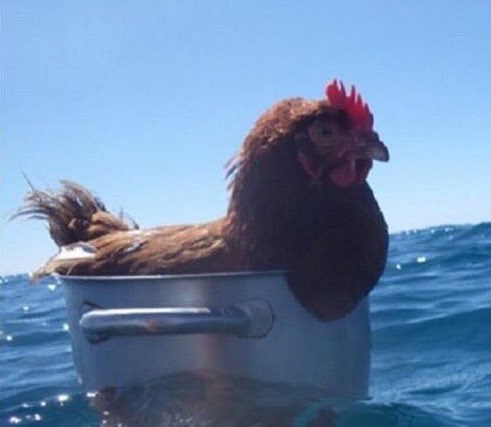 Cla6x6dwyaqz9oq.jpg large.jpeg?ixlib=rails 2.1