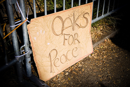 2631379276 8b09339ec0.jpg?ixlib=rails 2.1