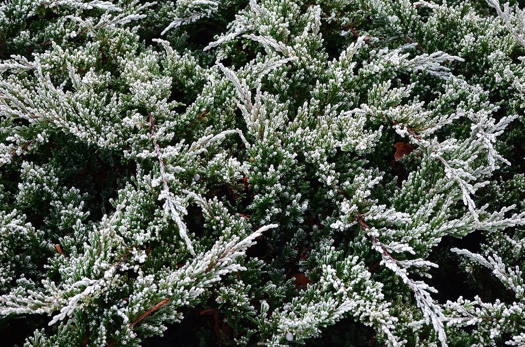 12017843805 700dd50b90 b.jpg?ixlib=rails 2.1