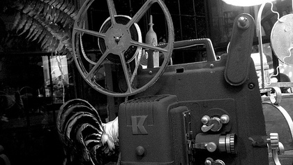 2397289423 f78b7fd16d.jpg?ixlib=rails 2.1