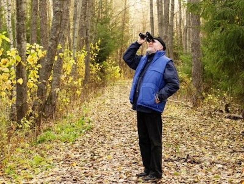 Rsz 3916531 birdwatching senior standing on pathway in forest.jpg?ixlib=rails 2.1