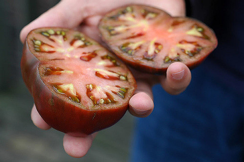 256509963 9963ed6089 z.jpg?ixlib=rails 2.1