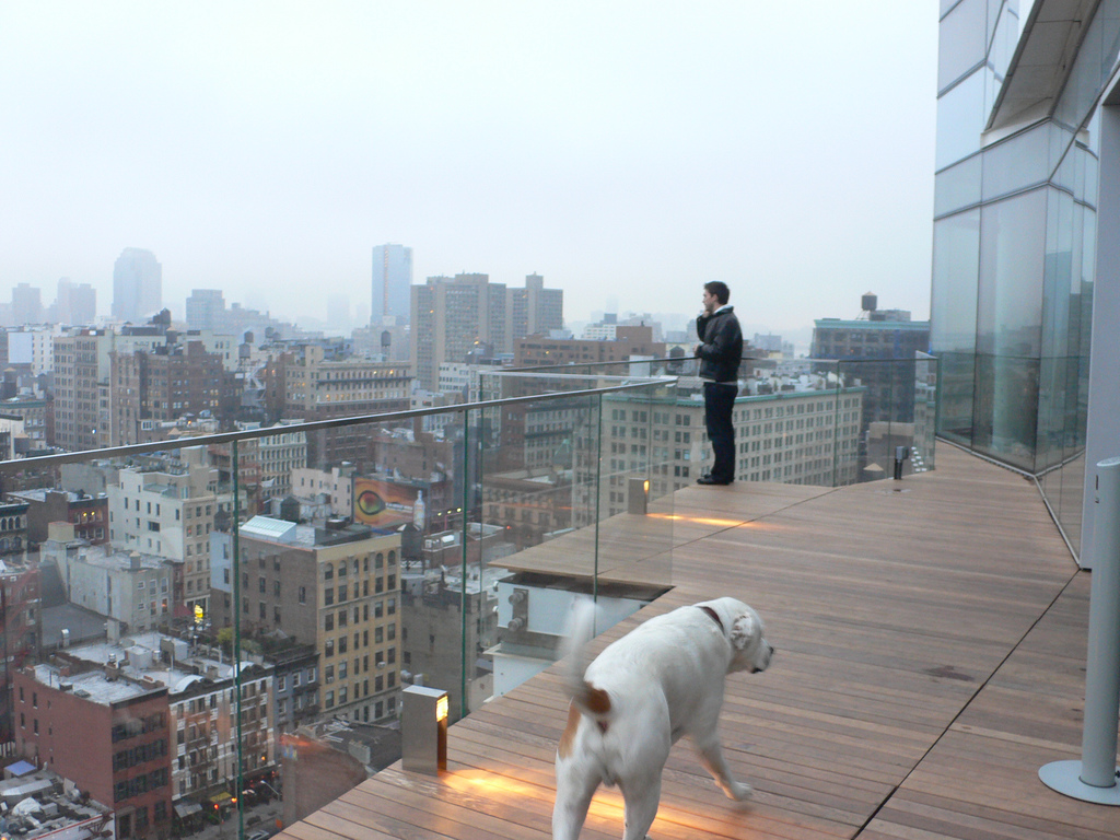 3468641257 e99d41acc8 b.jpg?ixlib=rails 2.1