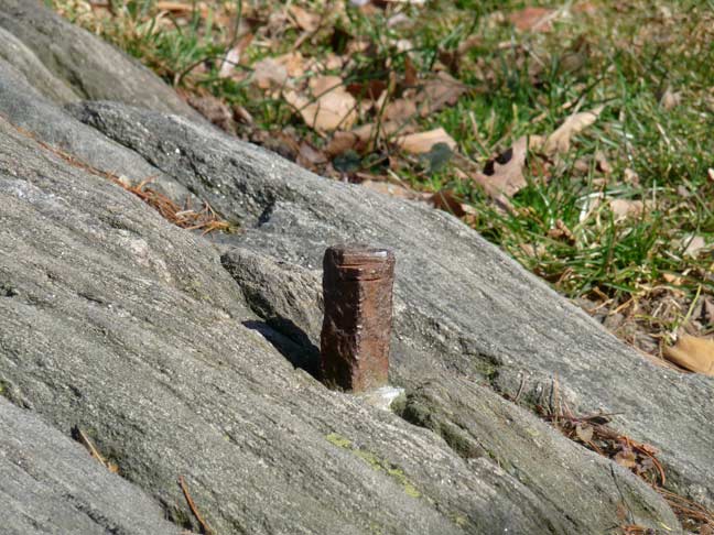 01.bolt.jpg?ixlib=rails 2.1