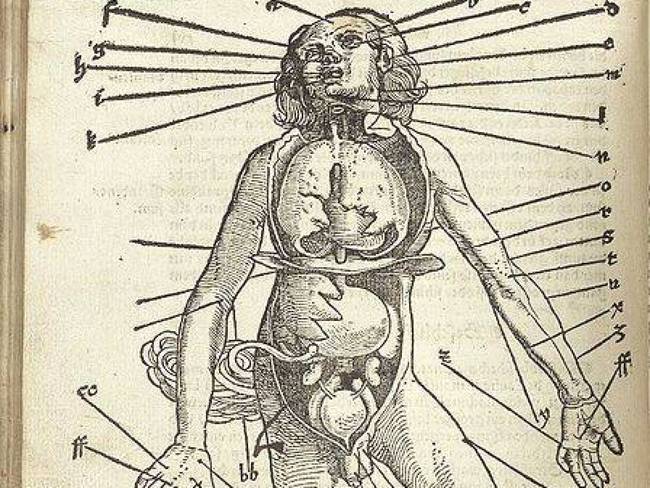 3dfa5f16ab1b69f001c6b397e464de05440fef9b.jpg?ixlib=rails 2.1