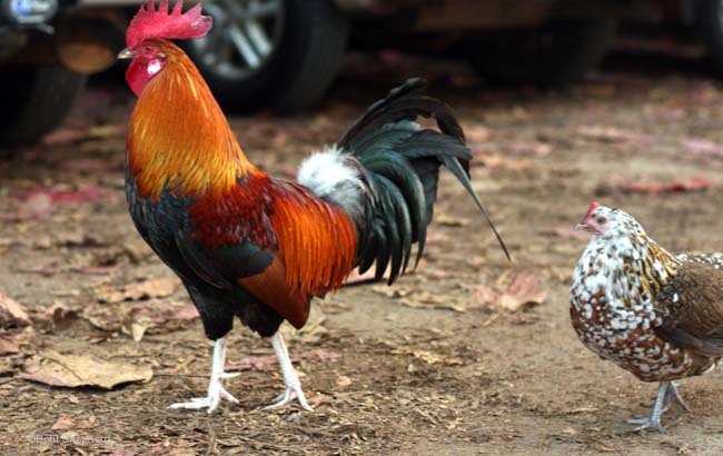 5531081 orig.jpg?ixlib=rails 2.1