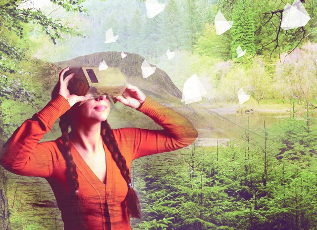 Bird hive teaser a5 no text 640x465.jpg?ixlib=rails 2.1