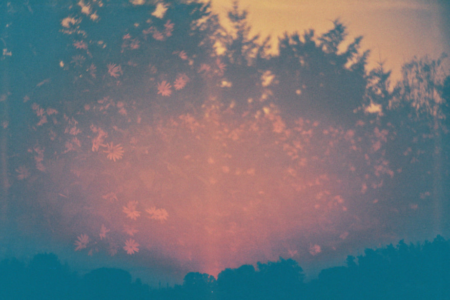 Screen shot 2016 11 26 at 4.17.31 am.png?ixlib=rails 2.1