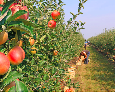 Rsz screen shot 2016 12 11 at 105537 pm.png?ixlib=rails 2.1