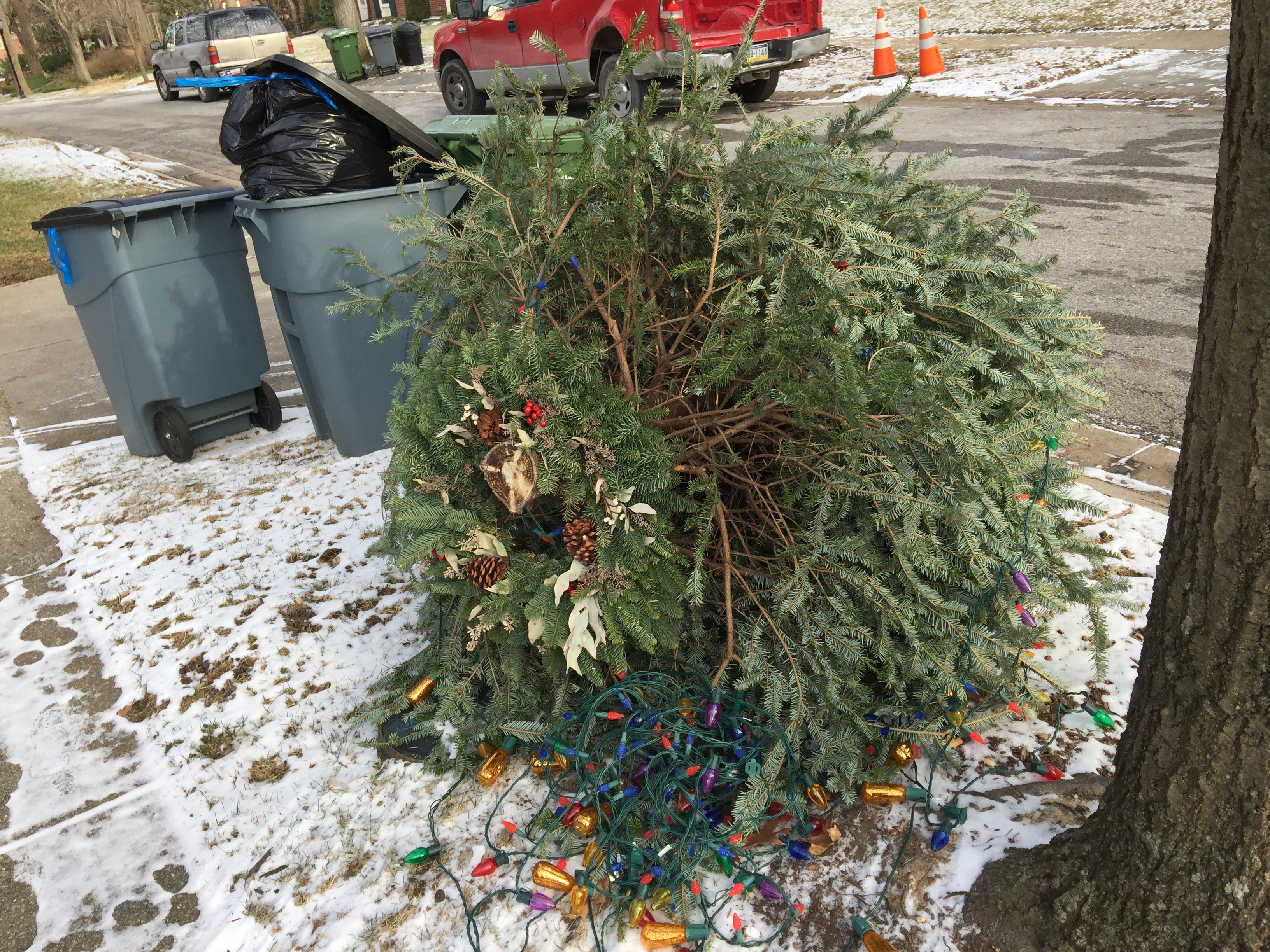 1img 1180.jpg?ixlib=rails 2.1